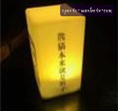 赵丽